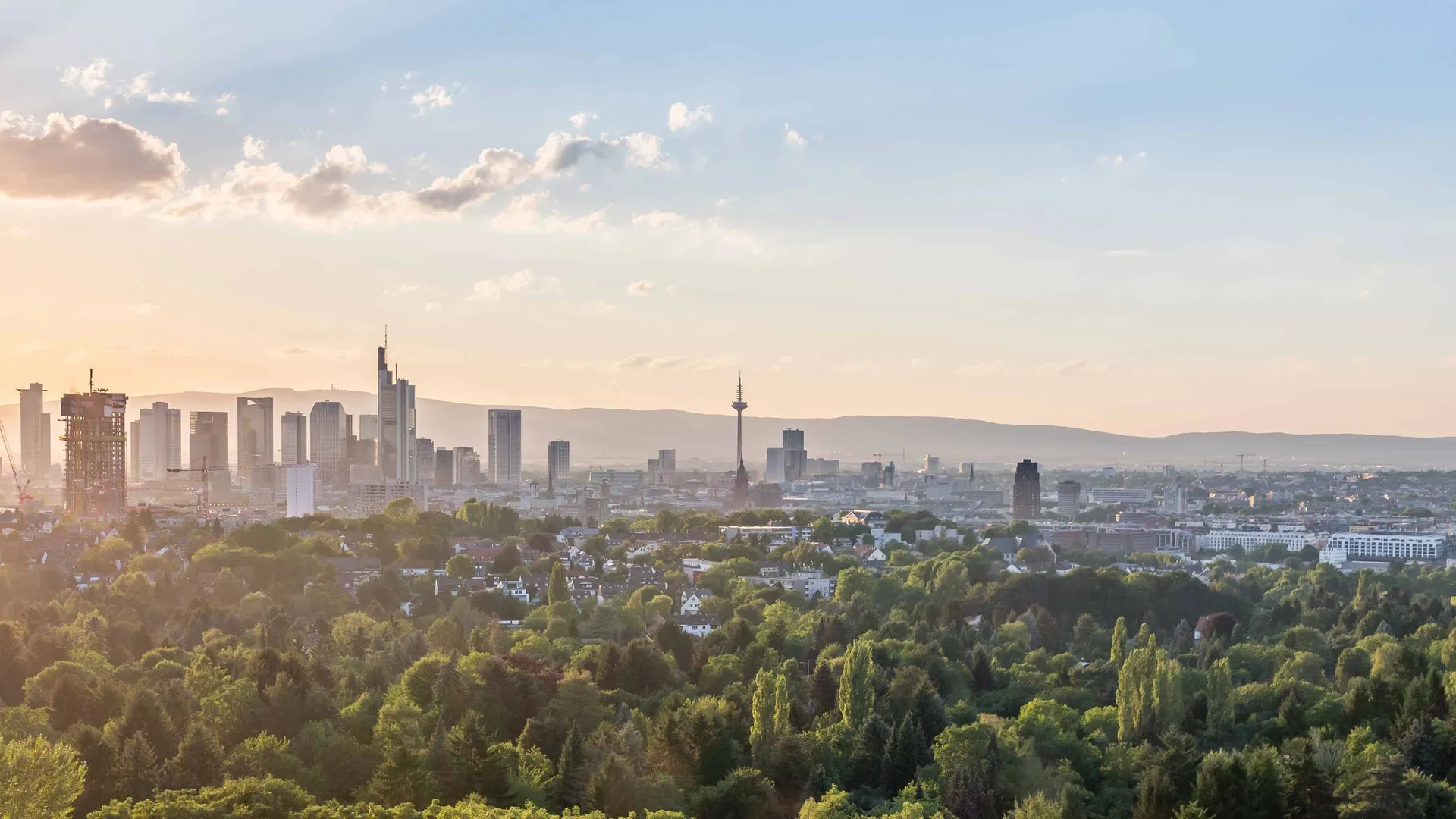 ERA Austria - Makler für Immobilien in Wels